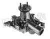 IPS Parts IPW-7510 Water Pump